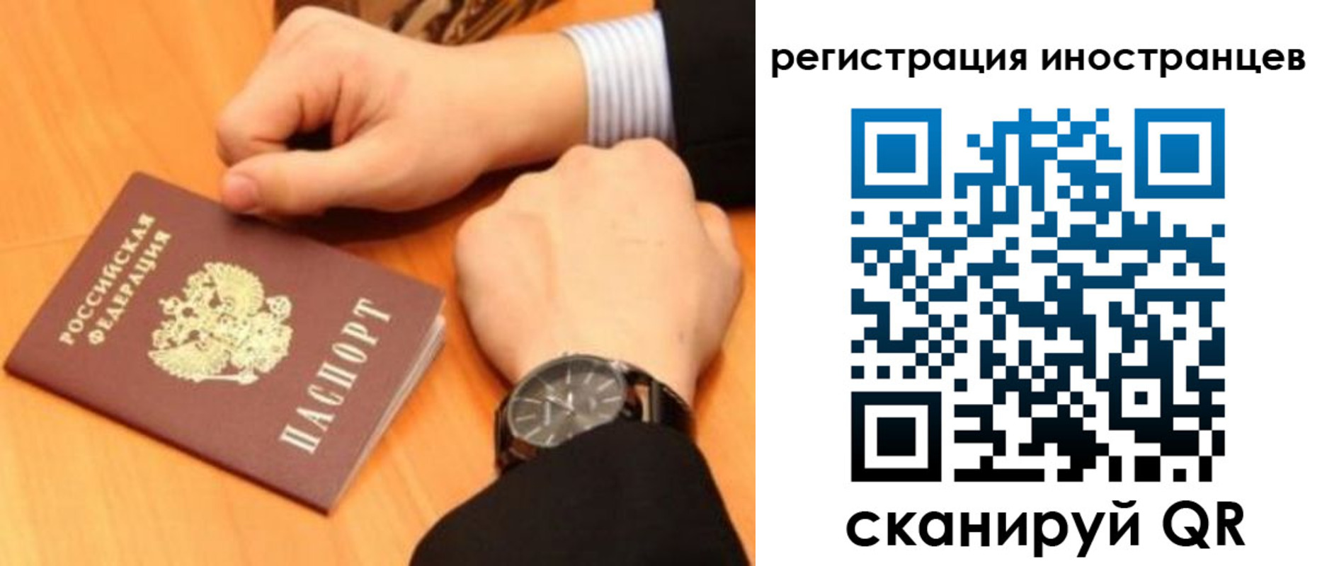 прописка гарантия в Ковдоре